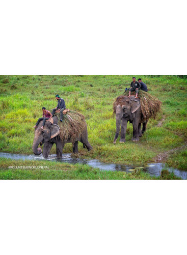 Kathmandu And Chitwan Tour - 6 Days