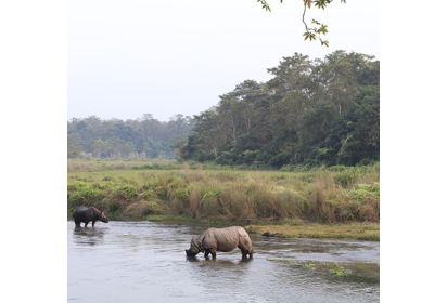 Kathmandu, Nagarkot, Chitwan, Lumbini & Pokhara Tour (10 Days)